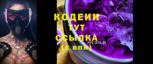 крисы Армянск