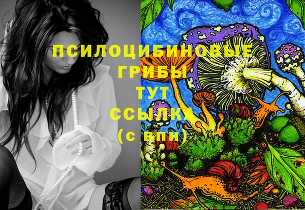 синтетический гашиш Арсеньев