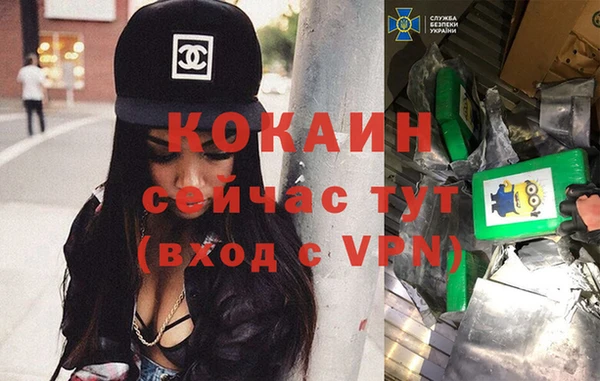 крисы Армянск