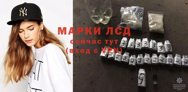 крисы Армянск