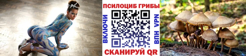 мориарти клад  Ухта  Псилоцибиновые грибы Cubensis  ОМГ ОМГ маркетплейс 